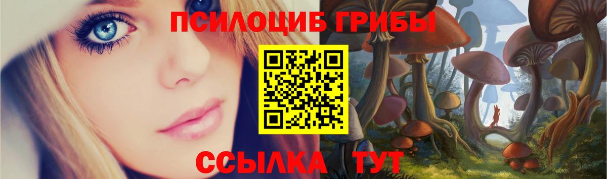 Острогожск  Галлюциногенные грибы Psilocybine cubensis  даркнет сайт  Вход с VPN 